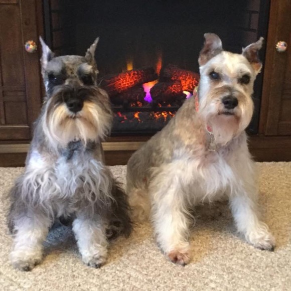 Meet your Posher, Michelle - Picture 1 of 2